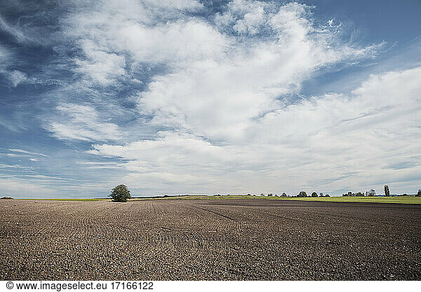 Plowed agricultural field against sky