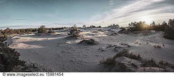 Poland  Pomerania  Leba  Sand dune at Slowinski National Park at sunset