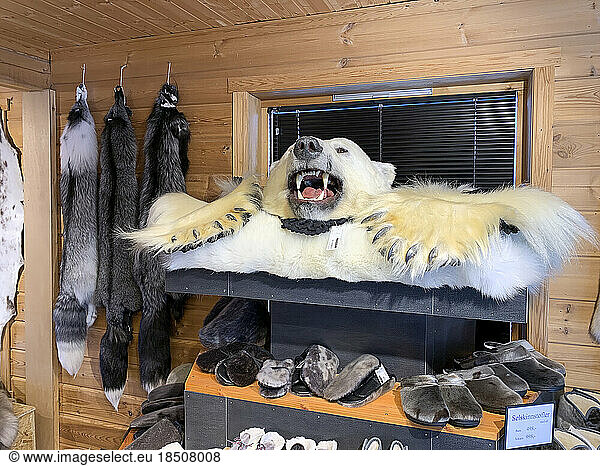polar bear skin for sale at a Longyearbyen store