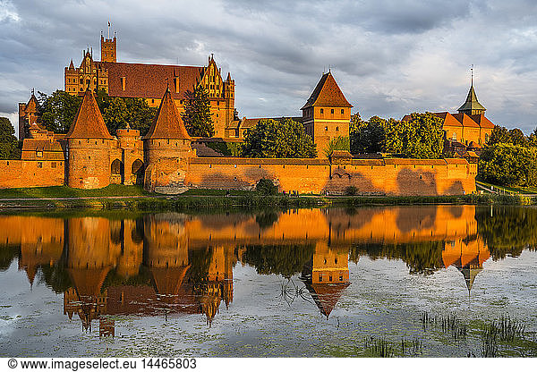 Polen  Schloss Malbork am Fluss Nogat im Abendlicht