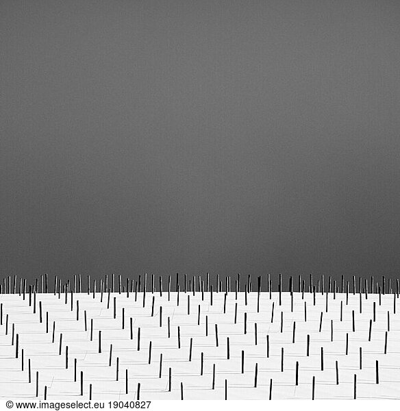 Poles in the snow and dark sky  Hokkaido  Japan