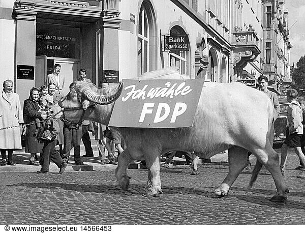 politics  elections  campaign for the Election to the Federal Diet 1957  animals of the circus Krone during the canvassing for the Free Democratic Party (Liberal Democratic Party)  Fulda  1957  water buffalo  water buffalos  advertising  Hesse  West Germany  Western Germany  people  spectator  spectators  domestic policy  home policy  1950s  50s  20th century  politics  policy  elections  polls  election campaign  election campaigns  animals  animal  circus  circuses  crown  crowns  parties  political party  historic  historical