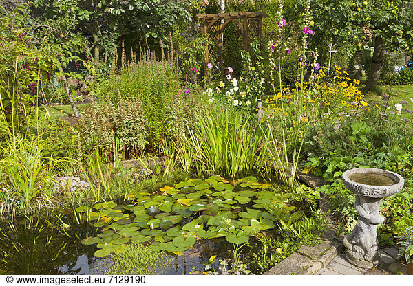 pond  garden  water lilly  bird bath  plants  flowers  nobody  Wirral  Cheshire  England  UK  United Kingdom  Great Britain