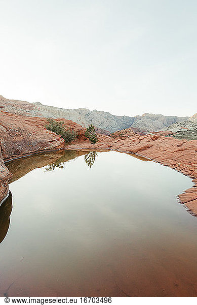 pool of water after rain in the petrified sand dunes of Snow Canyon