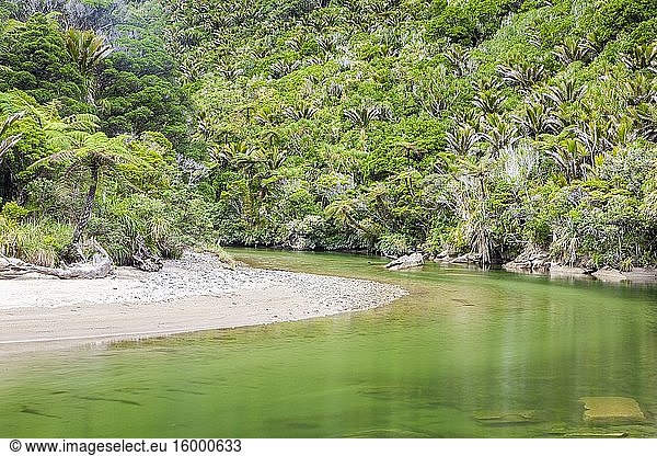 Pororari River Walk  Paparoa National Park  South Island  New Zealand.