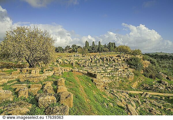 Porta V  archäologischer Park Valle dei Templi (Tal der Tempel)  Agrigent  Sizilien  Italien  Europa