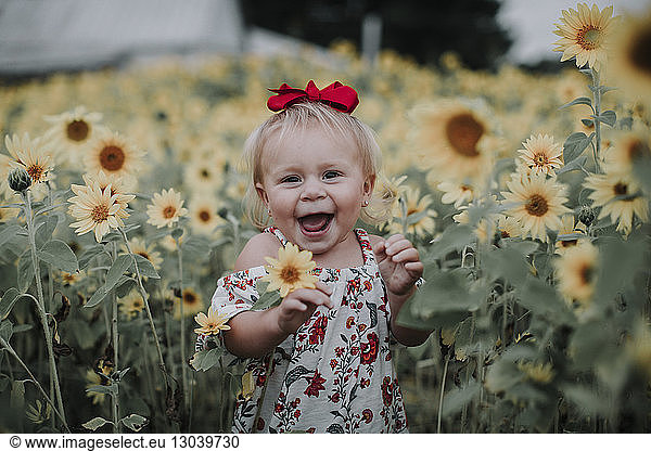 Porträt eines fröhlichen Mädchens  das inmitten eines Sonnenblumenfeldes steht