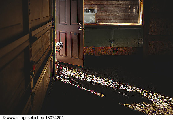 Porträt eines kleinen Jungen  der durch eine Tür in ein verlassenes Haus schaut