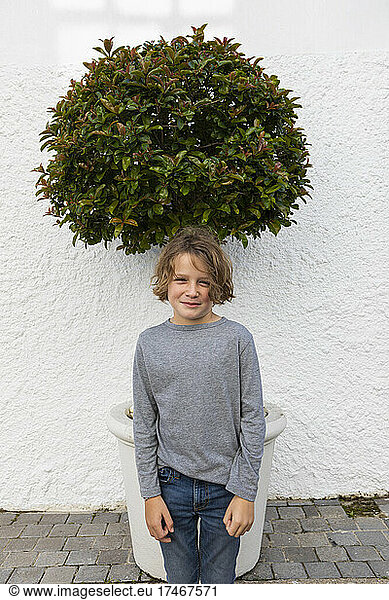 Porträt eines kleinen Jungen vor einem kleinen Baum vor einer weißen Wand