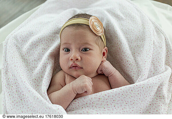 Porträt eines neugeborenen Babys; Surrey  British Columbia  Kanada