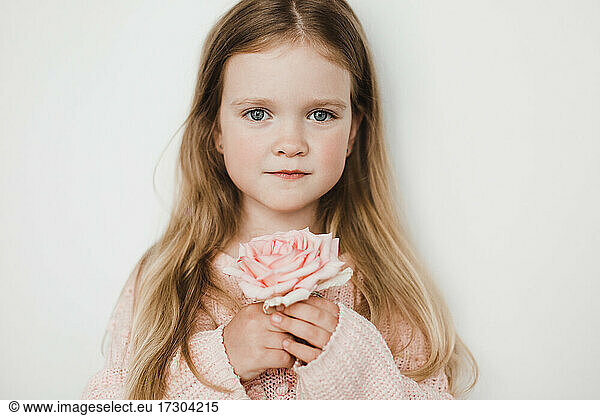 Porträt eines schönen blonden Mädchens in einem rosa Pullover mit einer rosa Rose