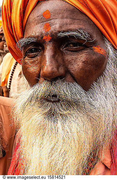 Porträt eines weise aussehenden älteren Sadhus (heiliger Mann)  gekleidet in Orange mit buschigem weißen Bart  Uttar Pradesh  Indien  Asien