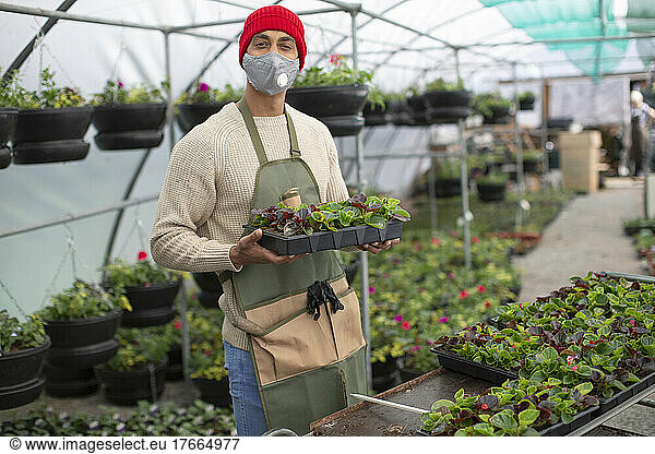 Portrait confident male plant nursery owner in face mask with plants