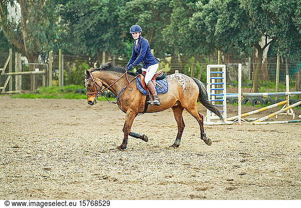 Portrait confident teenage girl equestrian jumping in paddock