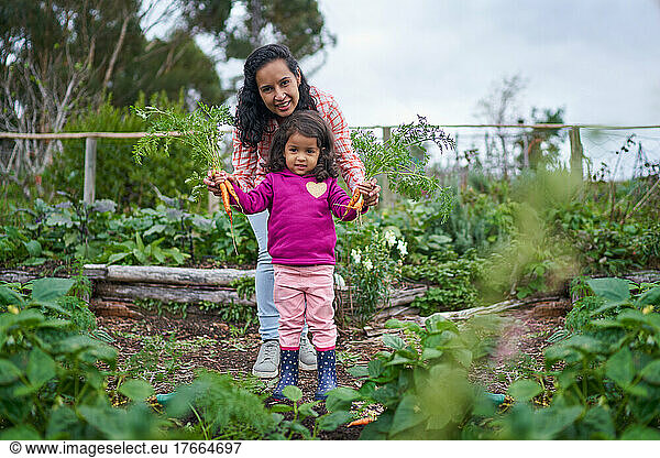Portrait happy mother and toddler daughter harvesting carrot in garden