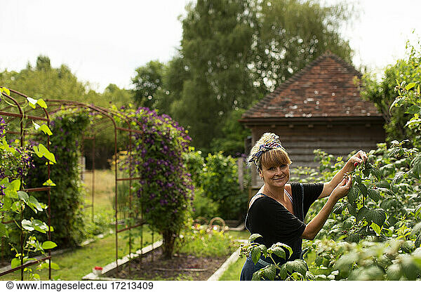 Portrait happy woman tending to plants in sunny cottage garden