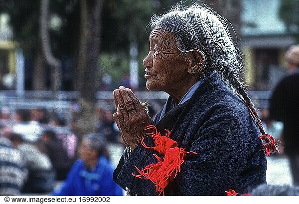Portrait  memorial day at Namgyal Monastery of Macleod Ganj  HP  India.