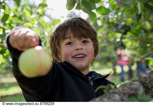 Portrait of a boy holding up freshly picked apple