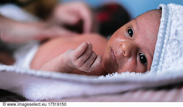Portrait of a newborn baby. Drying with towel after bath.