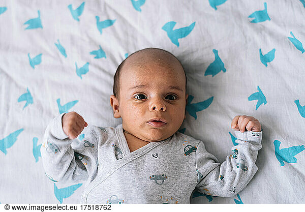 Portrait of a one-month-old baby lying on a bed