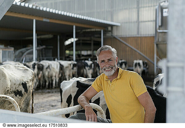 Portrait of a smiling mature farmer at cow house on a farm
