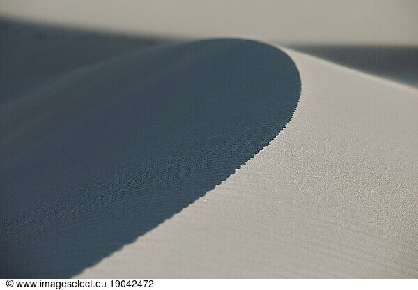 portrait of a taupe sand dune with shallow depth of field