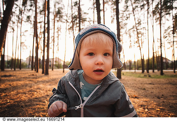 Portrait of adorable baby boy looking at camera in forest in autumn