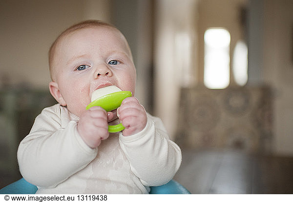 Portrait of baby boy playing with pacifier