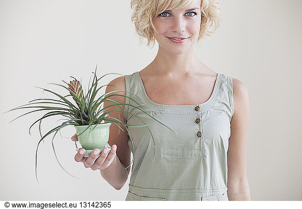 Portrait of beautiful woman holding potted plant against wall
