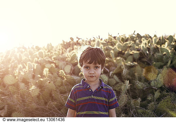 Portrait of boy standing against prickly pear cactus on sunny day