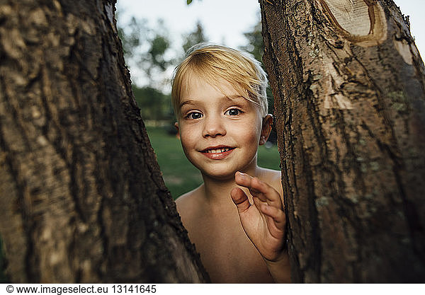 Portrait of boy standing by tree trunks
