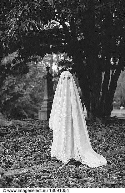 Portrait of boy wearing ghost costume while standing on field at cemetery during Halloween