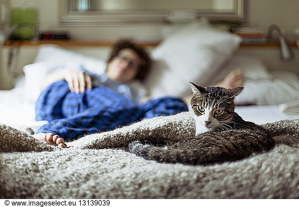 Portrait of cat relaxing while woman lying on bed in background