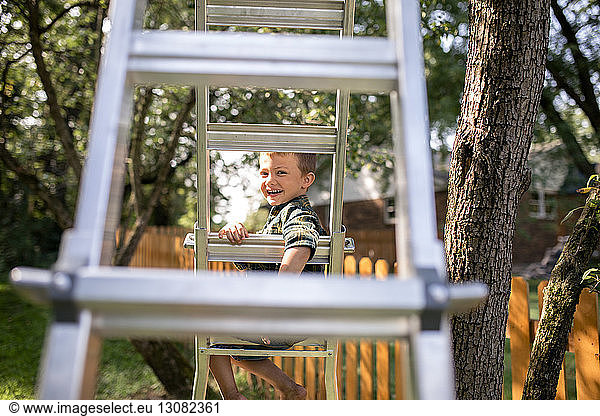 Portrait of cheerful boy sitting on ladder at farm