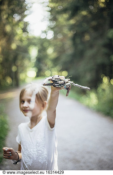 Portrait of girl showing sticks in forest