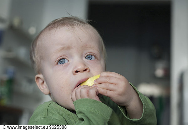 Portrait of little boy eating apple