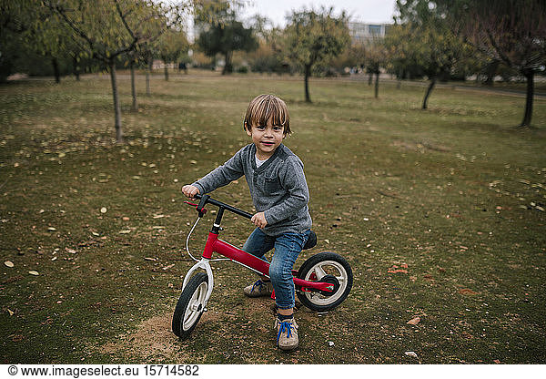 Portrait of little boy with bogie wheel on autumnal meadow
