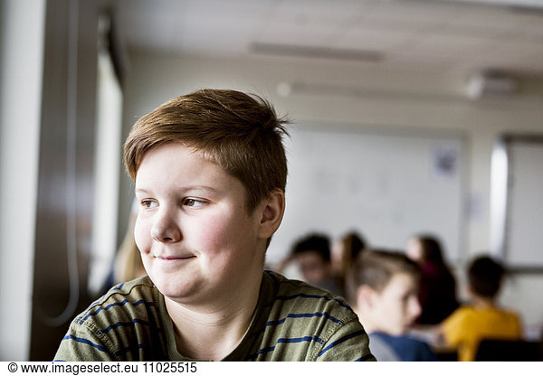 Portrait of schoolboy (12-13) in classroom