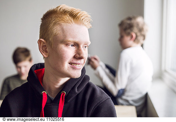 Portrait of schoolboy (12-13) in classroom