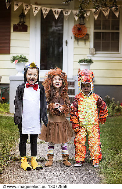 Portrait of smiling friends wearing Halloween costume standing in yard