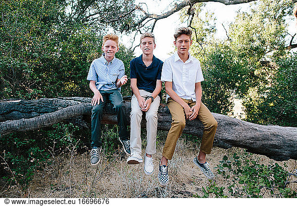 Portrait Of Three Handsome Boys Sitting On A Large Branch