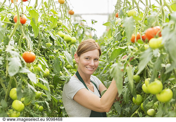 Portrait of woman tending to tomato plants in greenhouse