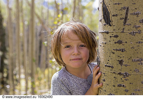 portrait of 4 year old boy hiding behind aspen tree