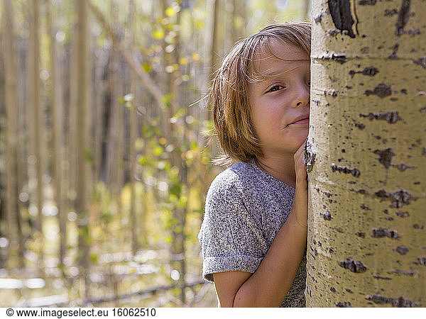 portrait of 4 year old boy hiding behind aspen tree