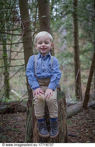 Portrait of young boy sitting on tree stump in a forest with a dirt stain on his pants; Aldergrove  British Columbia  Canada