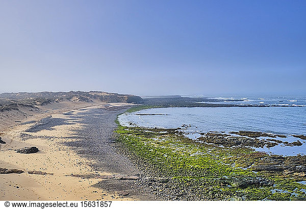 Portugal  Alentejo  Vila NovaÂ deÂ Milfontes  Algae on sandy coastal beach