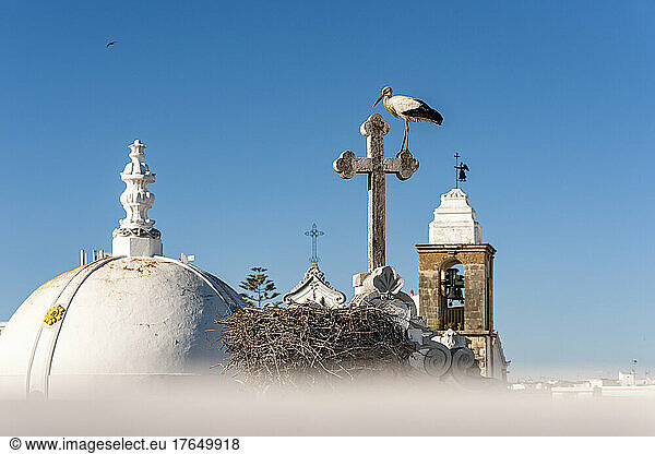 Portugal  Algarve  Olhao  White stork perching on rooftop cross of Igreja de Nossa Senhora do Rosario Church