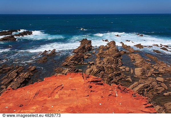 Portugal  Algarve  Sagres  Blick auf praia do castelejo