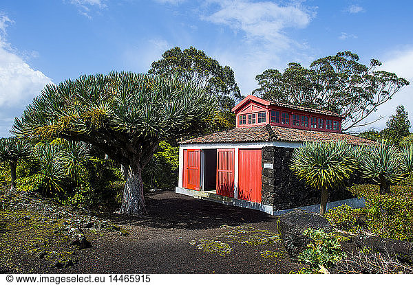 Portugal  Azoren  Insel Pico  Weinmuseum  alte Scheune