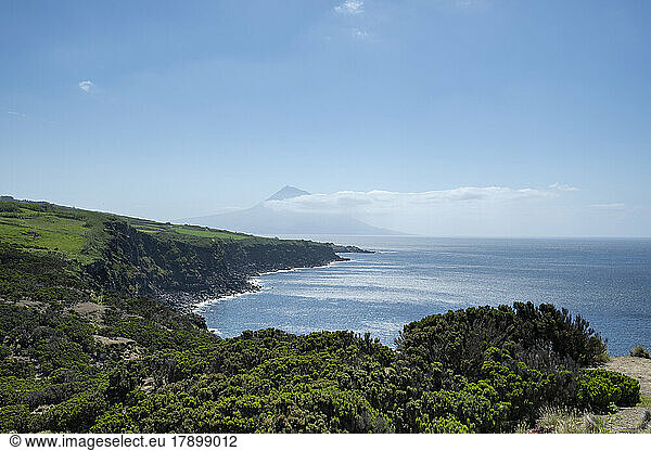 Portugal  Azores  Coastline of Faial Island
